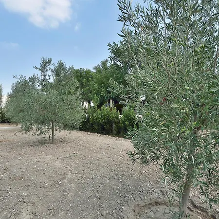 Villa Del Colle Con Piscina Privata *